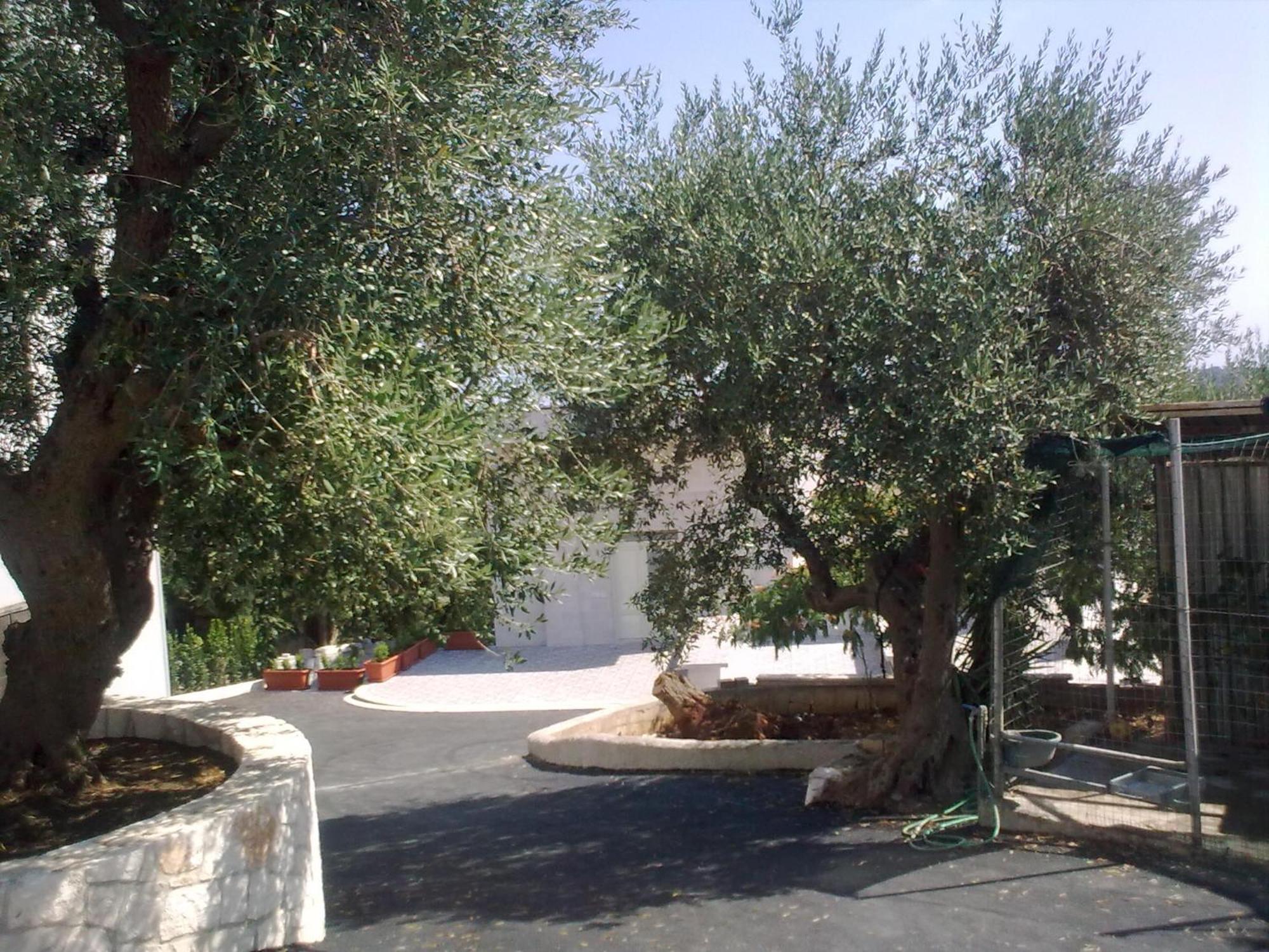 Bed & Breakfast La Collinetta 2*